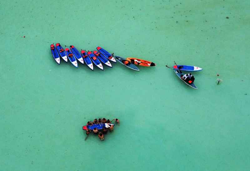 Paddle Colectivo (Adulto)